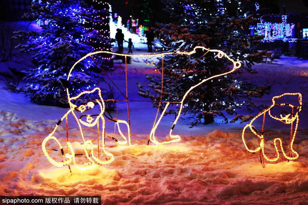 加拿大：卡爾加里公園亮起上萬彩燈迎接圣誕節(jié) 造型各異趣味十足