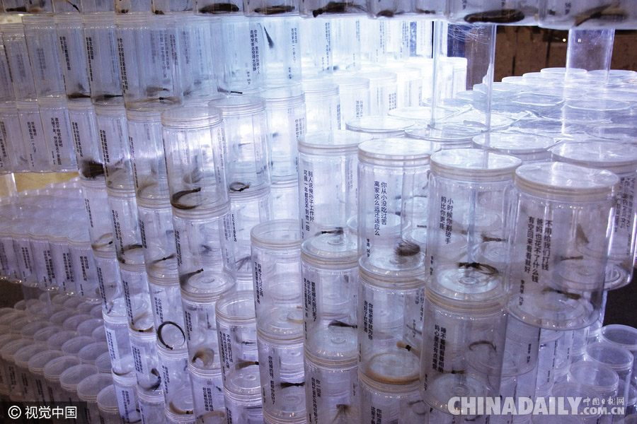 2000多位老人剪下白發呼喚兒女回家過年