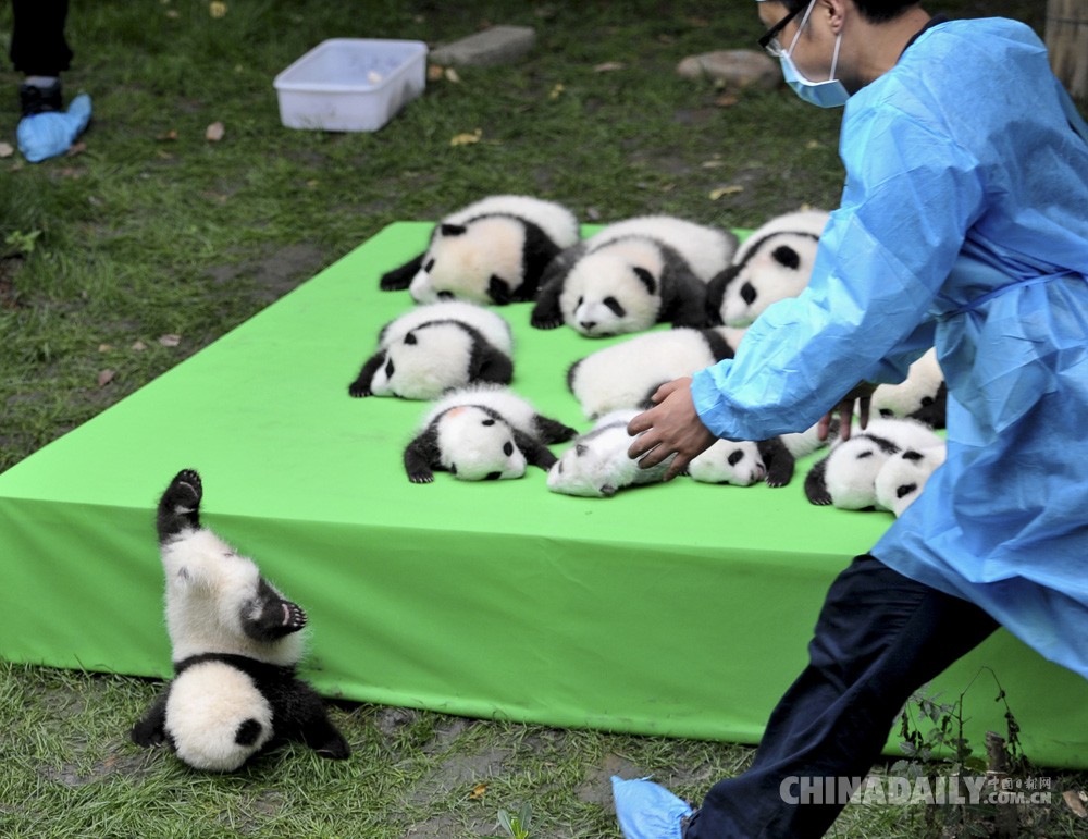 中國日報(bào)2016年度國際傳播圖片