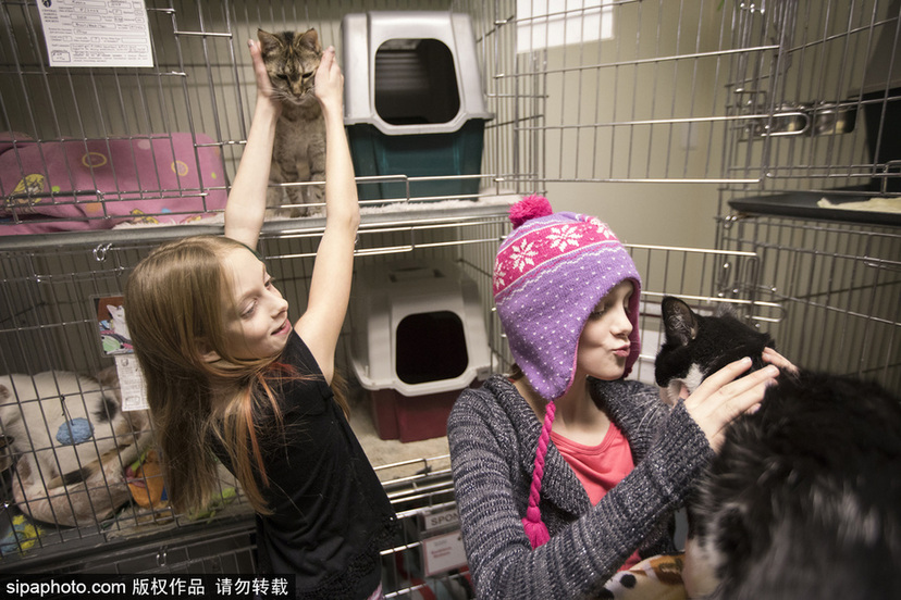 美國孿生連體姐妹分離手術(shù)后已茁壯成長(zhǎng)11年