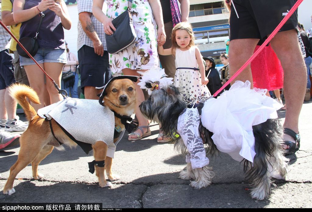 腦洞大過天！盤點全球各類奇葩比賽