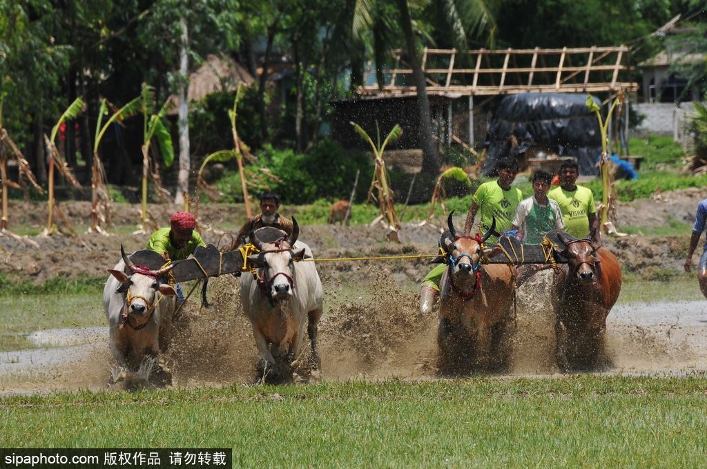 腦洞大過天！盤點全球各類奇葩比賽