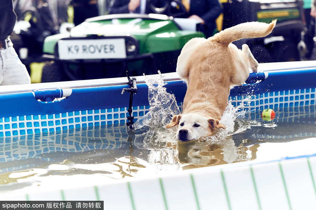 腦洞大過天！盤點全球各類奇葩比賽