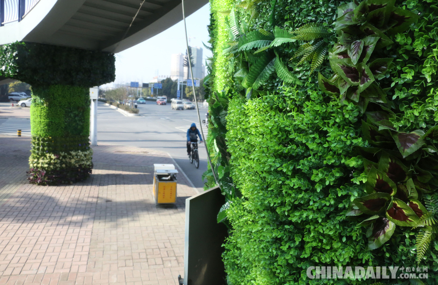 合肥“最美”過(guò)街天橋 生機(jī)盎然引人駐足