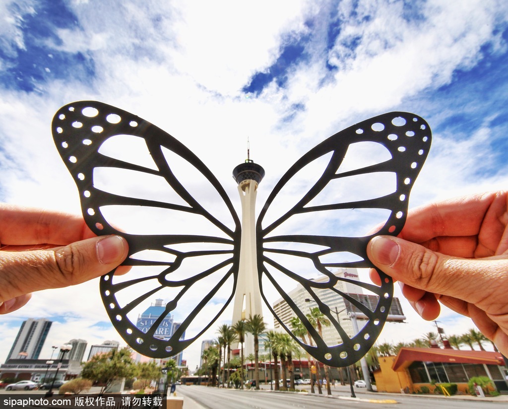 剪紙錯(cuò)位藝術(shù)趣味無(wú)窮 盤(pán)點(diǎn)度假勝地巧變創(chuàng)意作品