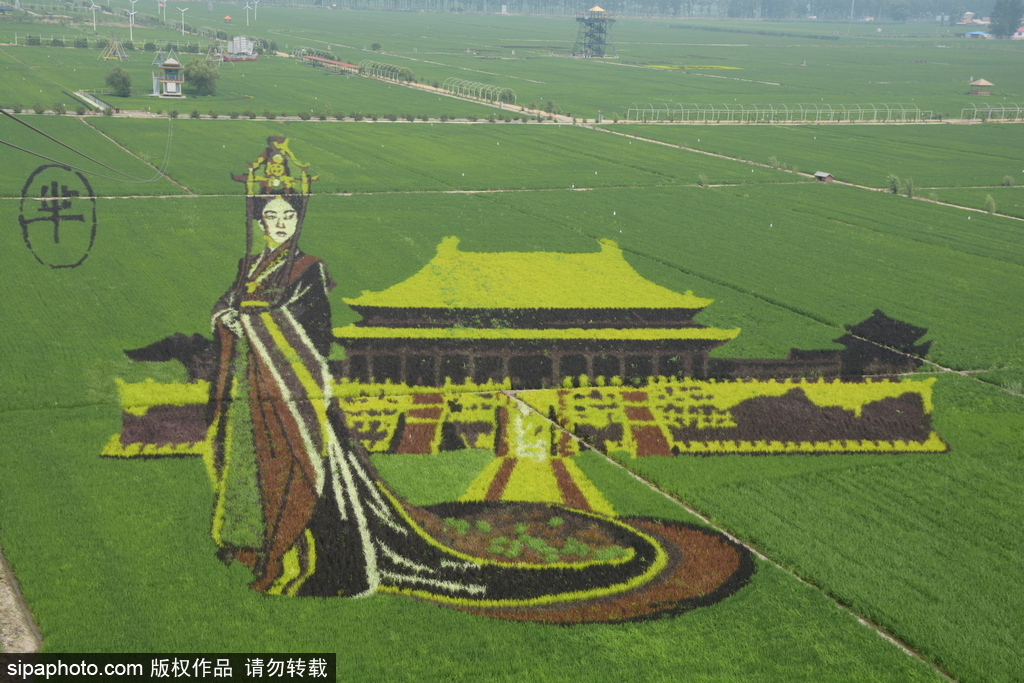 春回大地草木萌動(dòng) 盤(pán)點(diǎn)那些農(nóng)田光景返樸歸真