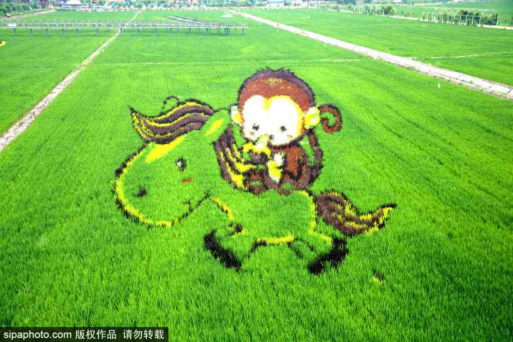 春回大地草木萌動(dòng) 盤點(diǎn)那些農(nóng)田光景返樸歸真