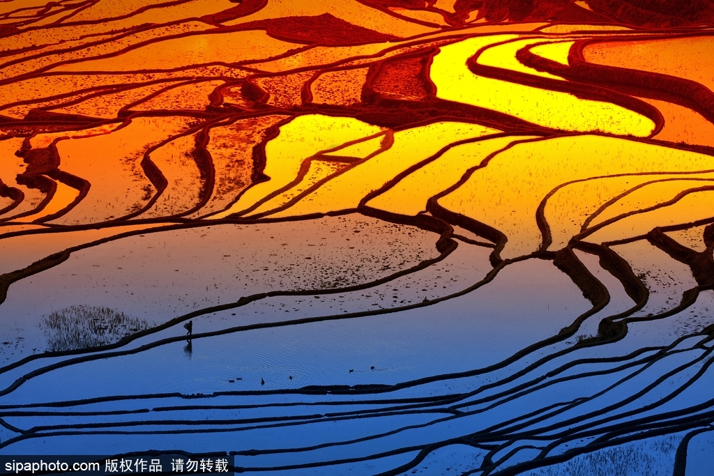 春回大地草木萌動 盤點那些農田光景返樸歸真