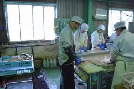 3000多名中國實習生在日本詭異