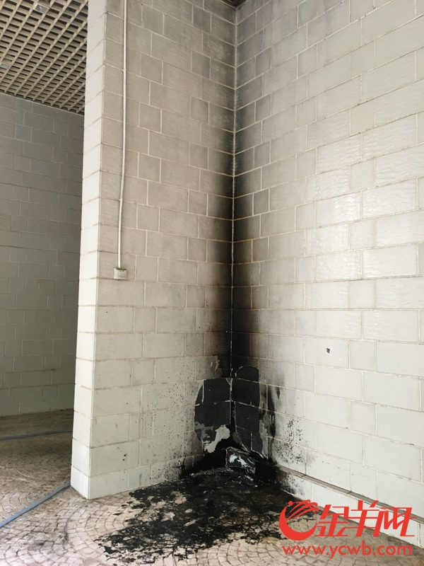 成都共享單車被燒毀 盤點N種被“玩壞”的共享單車