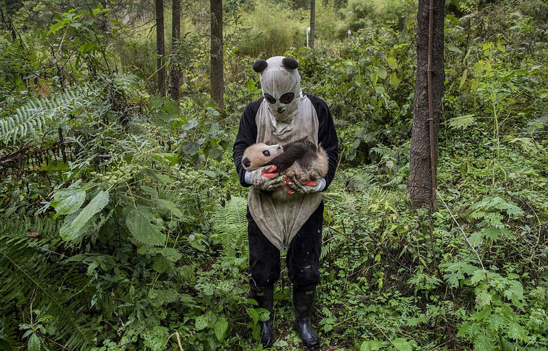 2017年索尼世界攝影獎(jiǎng)入圍佳作 張張打動(dòng)人心[組圖]