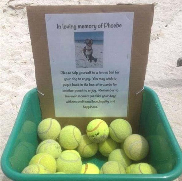 人間自有真情在！鏡頭記錄全球溫情瞬間（組圖）