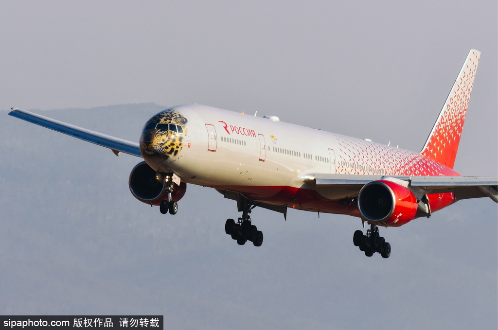 一頭豹子飛過來！俄羅斯飛機(jī)繪遠(yuǎn)東豹圖案萌態(tài)十足