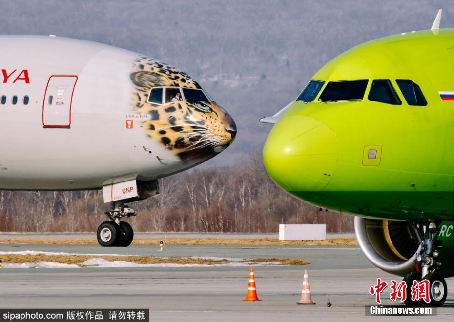 帥到爆表！俄航推遠(yuǎn)東豹彩繪飛機(jī) 喚起豹類(lèi)保育