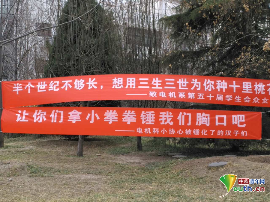“女生節”將至 北京各大高校男生掛條幅“表白”