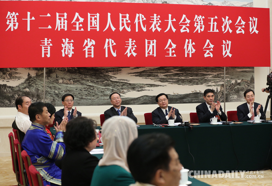 青海代表團(tuán)全體會議向媒體開放