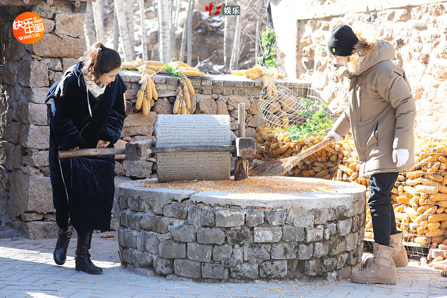 《向往的生活》李冰冰與劉憲華練外語(yǔ) 蘑菇屋學(xué)習(xí)氛圍濃