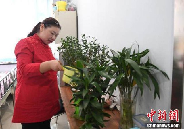 30歲女子一年瘦231斤 到底發(fā)生了什么？