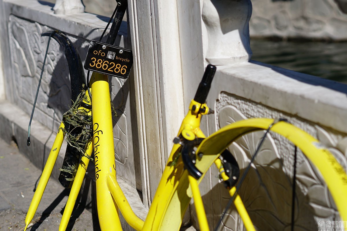 北京什剎海一共享單車被毀 只剩“骨架”