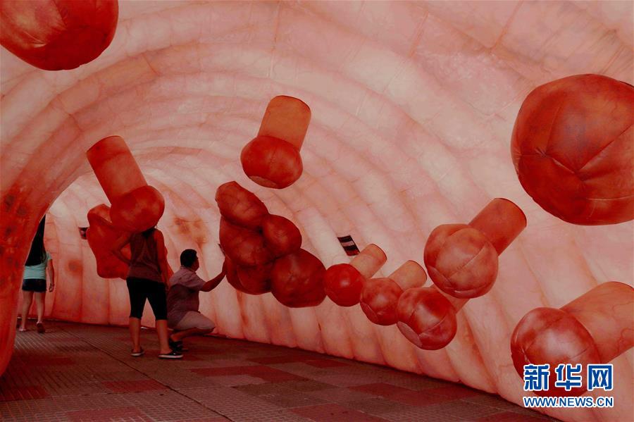 人造結腸示健康