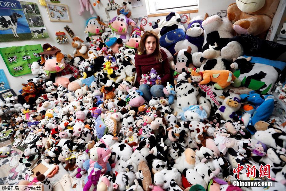 法國女模酷愛收集玩偶 與上千奶牛玩偶“同吃同住”