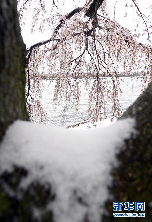 美國(guó)東北部遭遇暴風(fēng)雪 數(shù)千航班取消（組圖）