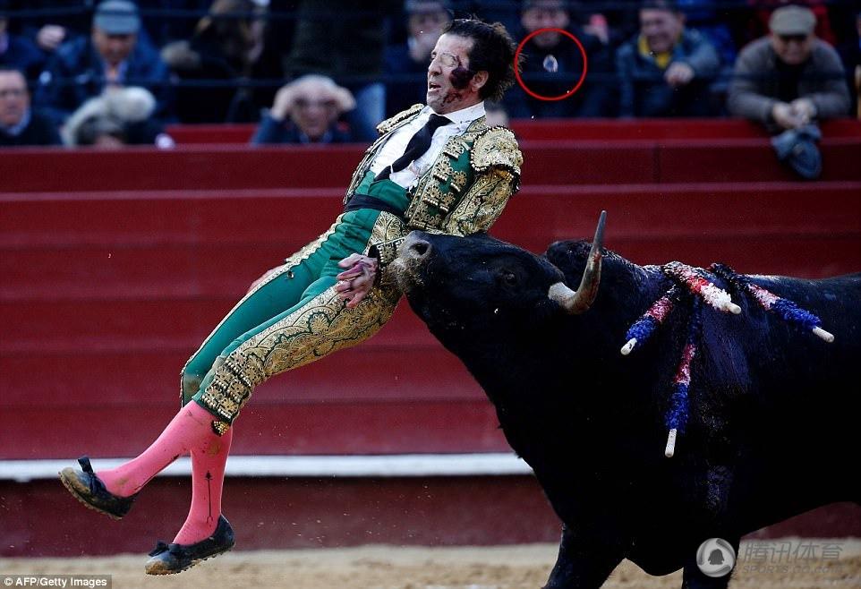 傳奇斗牛士重傷送醫 被牛挑起假眼飛出