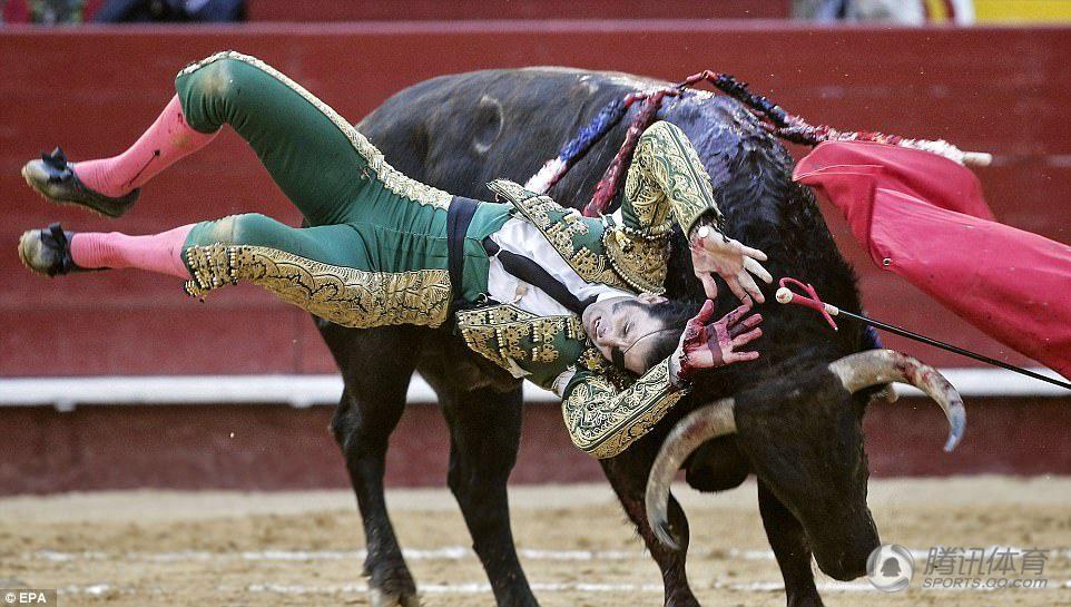 傳奇斗牛士重傷送醫 被牛挑起假眼飛出