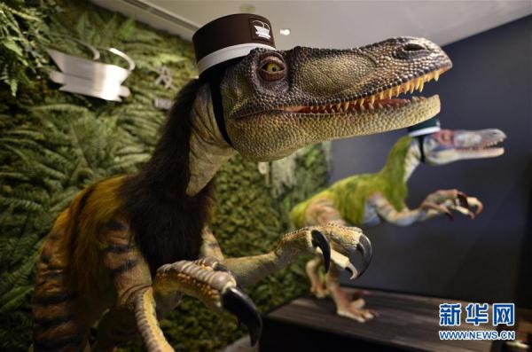 恐龍機(jī)器人是服務(wù)員！ 日本現(xiàn)“奇異賓館”（組圖）