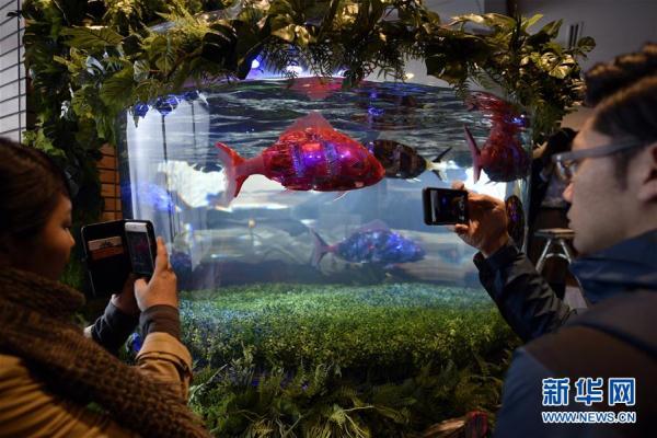 恐龍機器人是服務員！ 日本現“奇異賓館”（組圖）