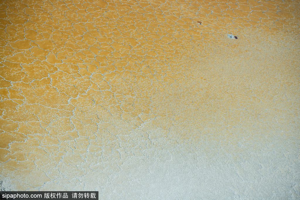 這才是上帝的調色盤！航拍美國鹽蒸發池色彩繽紛