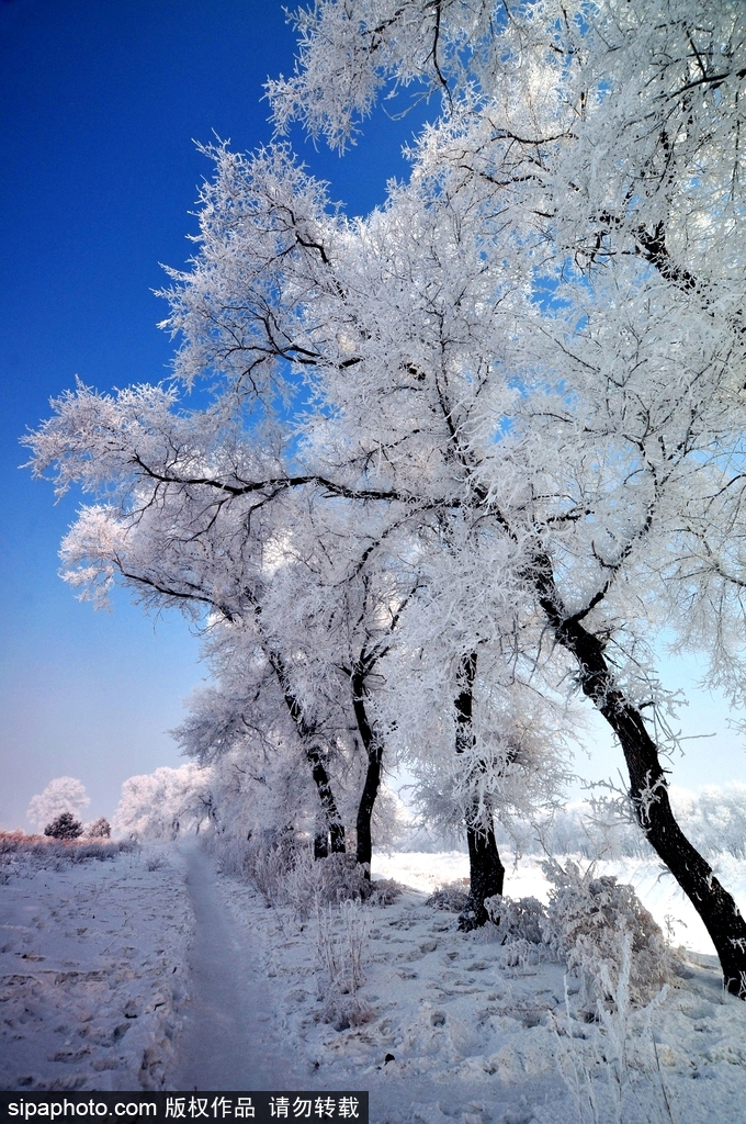 這個冬季太漫長？ 盤點霧凇冰掛美景讓你忘記季節時間