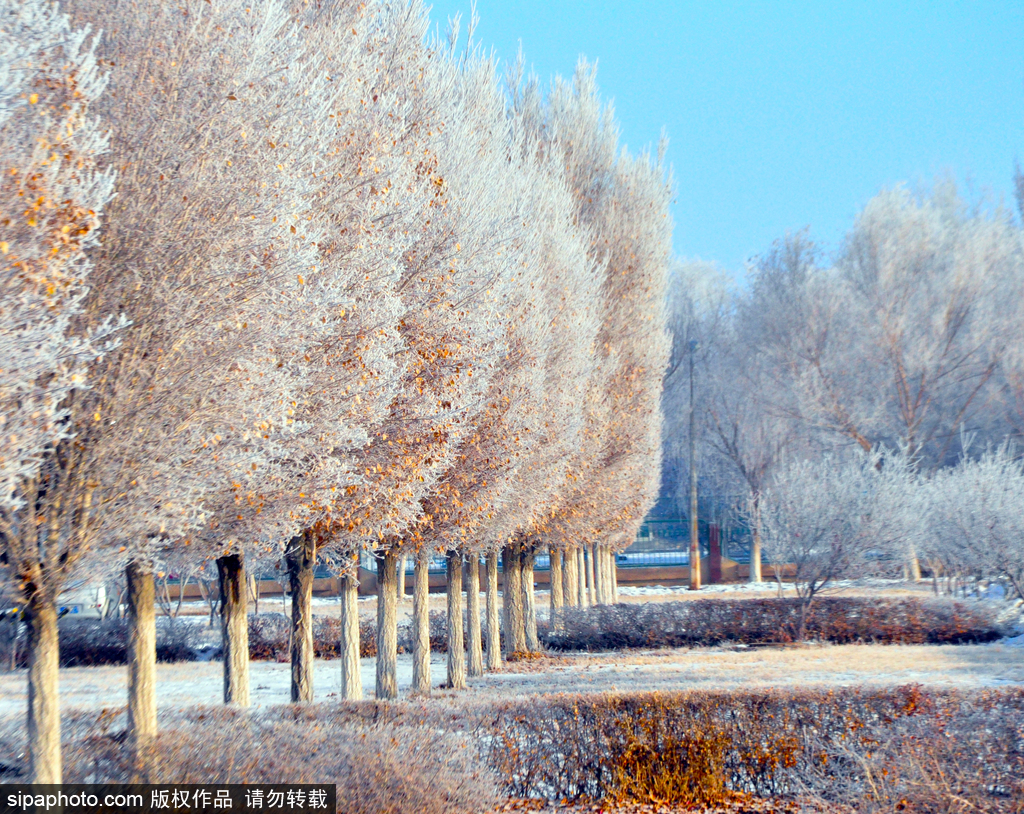 這個(gè)冬季太漫長(zhǎng)？ 盤點(diǎn)霧凇冰掛美景讓你忘記季節(jié)時(shí)間