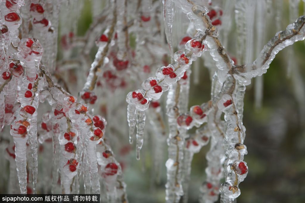 這個冬季太漫長？ 盤點(diǎn)霧凇冰掛美景讓你忘記季節(jié)時間