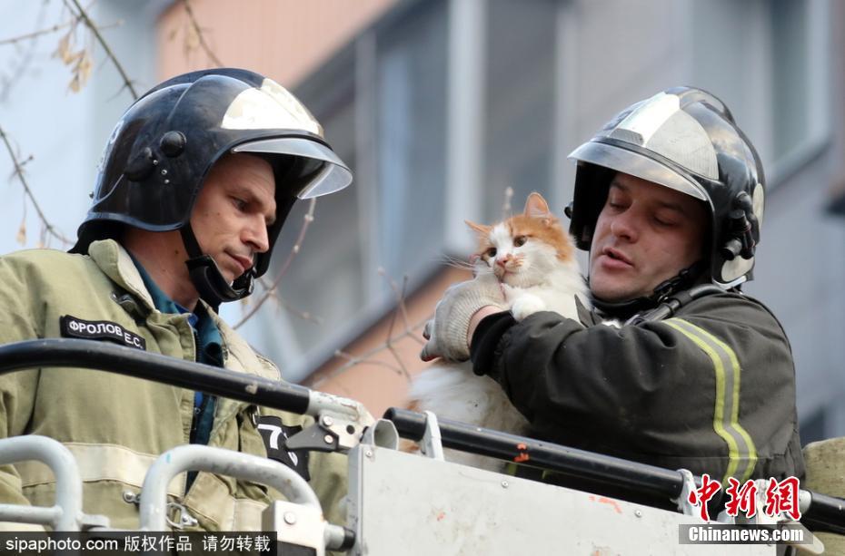 有愛！公寓樓天然氣爆炸 消防員救出被困小貓