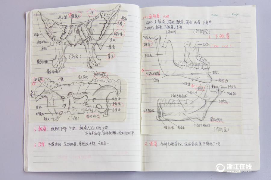 厲害了妹子！杭州大二女生解剖學(xué)筆記驚艷走紅