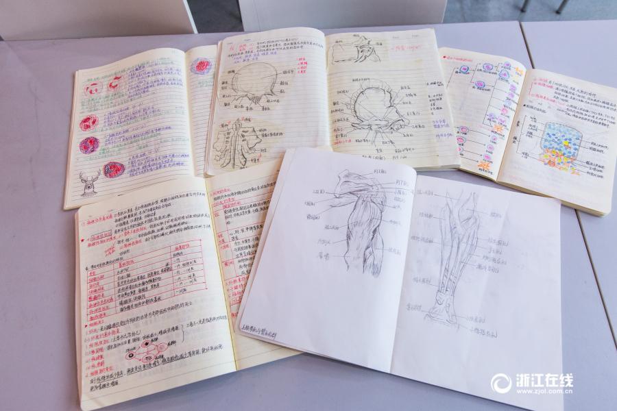 厲害了妹子！杭州大二女生解剖學(xué)筆記驚艷走紅