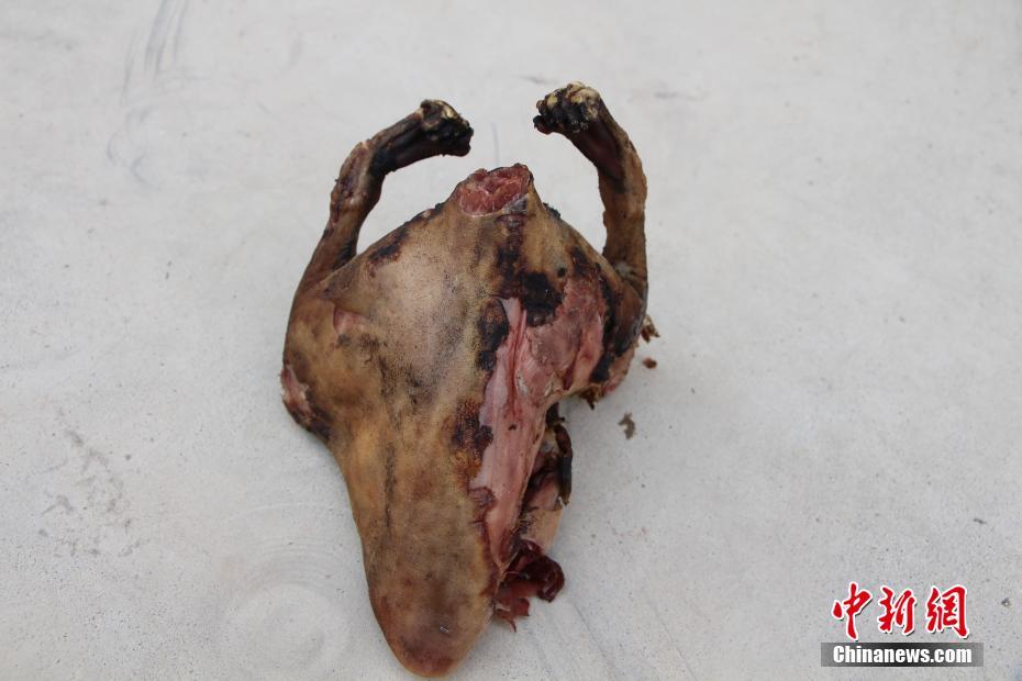 男子保護區內持槍狩獵 竟把民警當獵物射擊