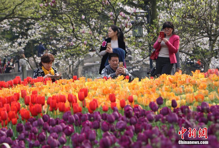 杭州太子灣公園繁花似錦