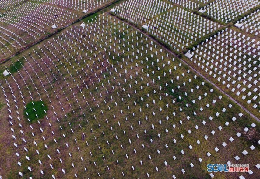 航拍全國最大紅軍烈士陵園 兩萬名烈士安眠