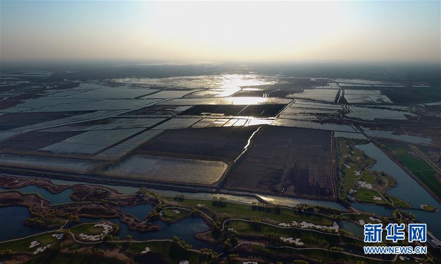 中共中央、國務院決定設立河北雄安新區