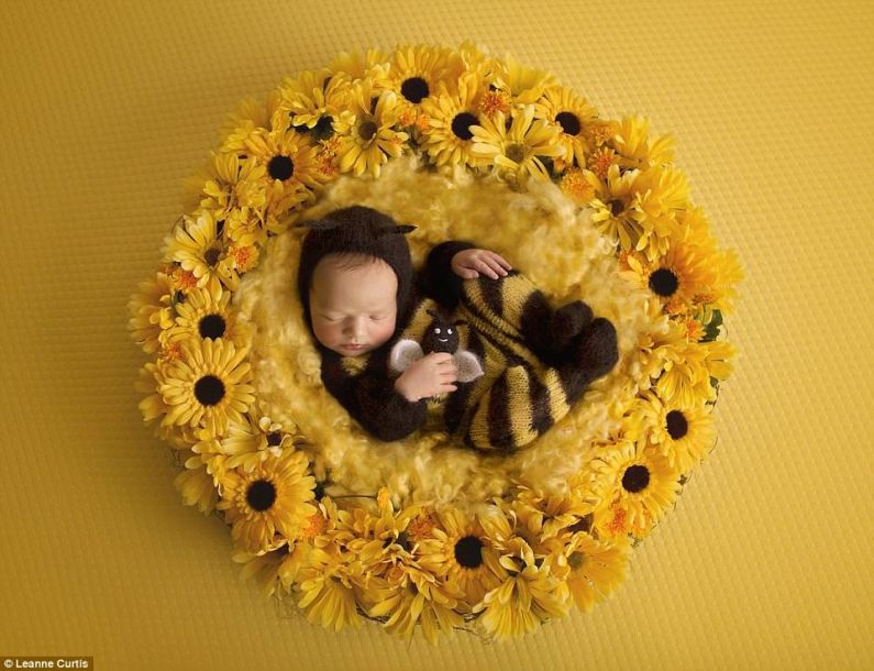 生命到來(lái)之時(shí)：記錄令人驚嘆的懷孕歷程