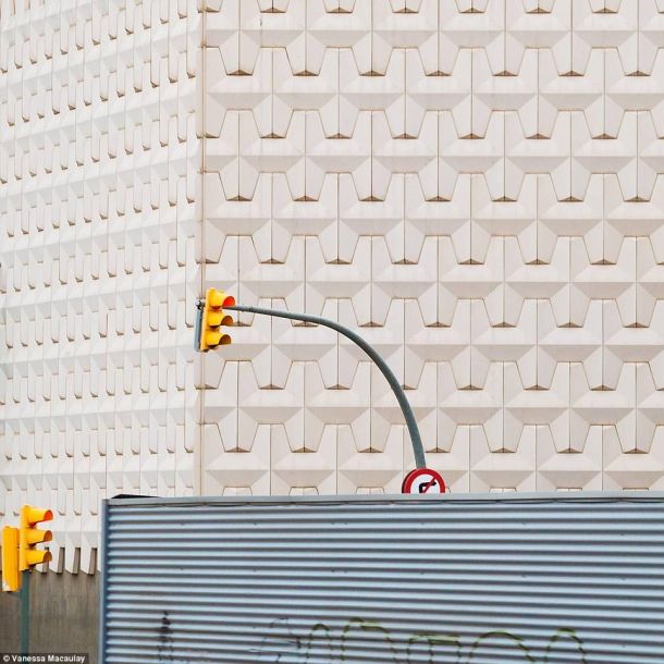 生命到來之時：記錄令人驚嘆的懷孕歷程