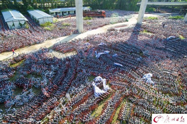 航拍廣州共享單車(chē)中轉(zhuǎn)站　密密麻麻如彈簧