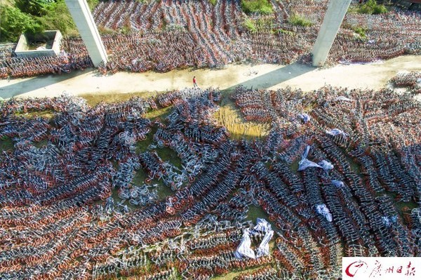 航拍廣州共享單車中轉(zhuǎn)站　密密麻麻如彈簧