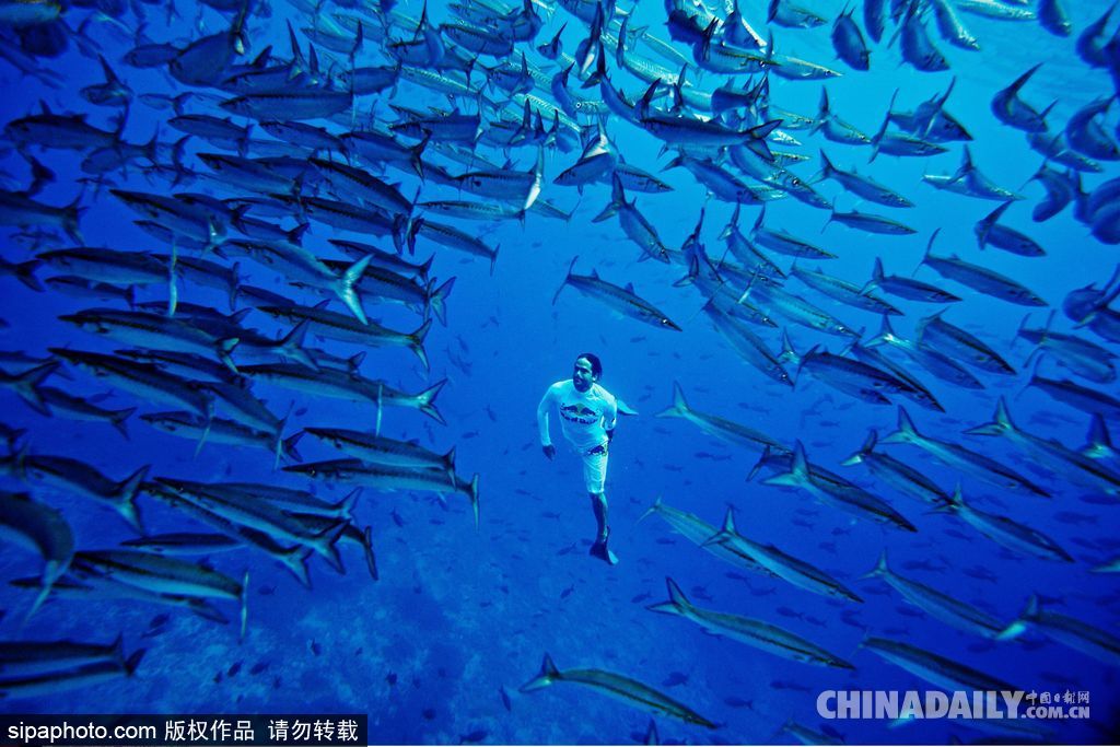 原來可以這么玩！盤點全球各地運動牛人挑戰極限的高能瞬間