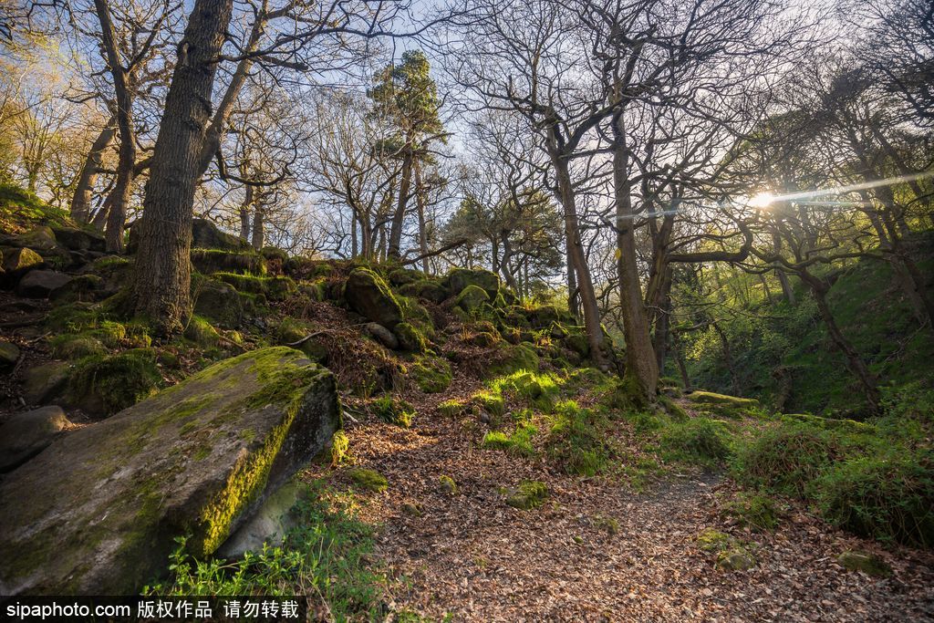 英國：德比郡天空現(xiàn)絕美日出 夢幻天空如臨仙境