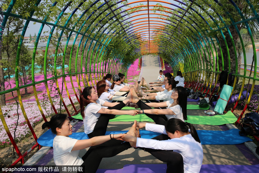 江蘇瑜伽愛好者花海林間展現運動之美 愉悅身心成靚麗風景