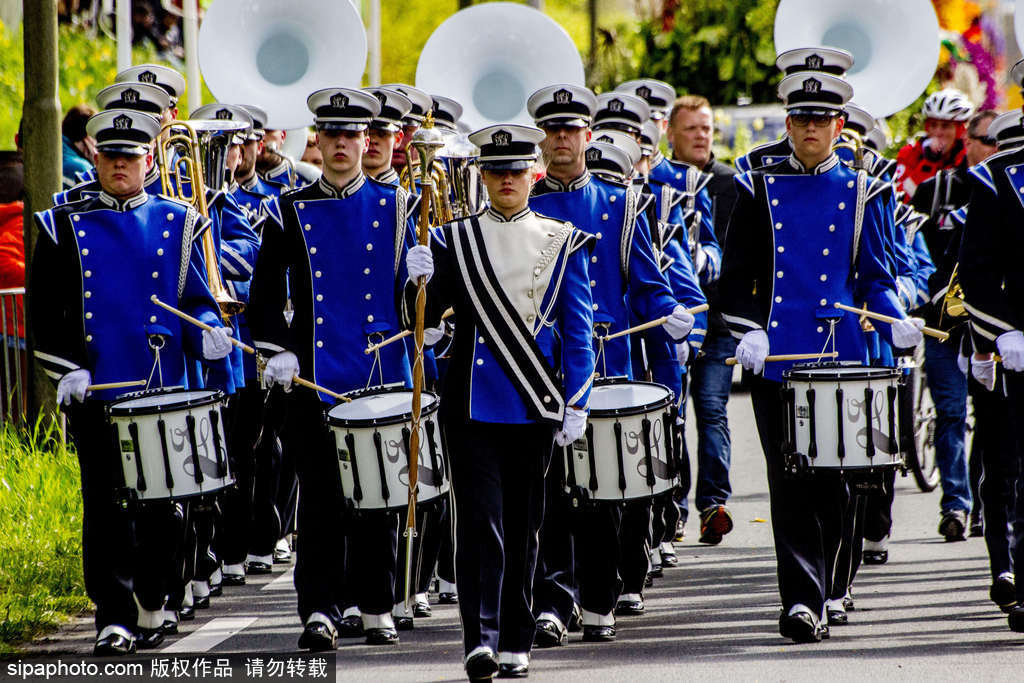 荷蘭小鎮(zhèn)利瑟迎來(lái)花車游行活動(dòng) 鮮艷亮麗十分奪目