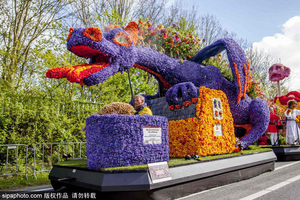 荷蘭小鎮(zhèn)利瑟迎來(lái)花車(chē)游行活動(dòng) 鮮艷亮麗十分奪目